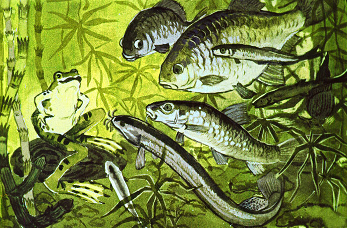 Як риби стали ошатними