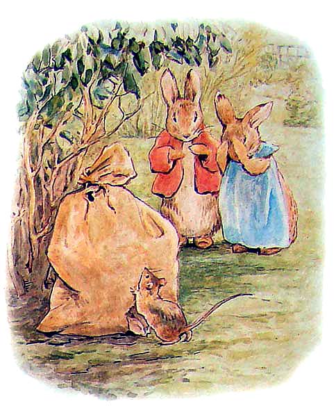 Кроленята Плюшки