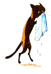   ̳