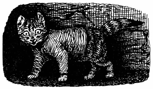 Повість про Семюеля Віскерса, або котячий рулет