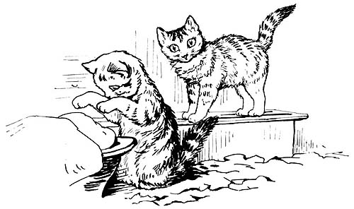 Повість про Семюеля Віскерса, або котячий рулет