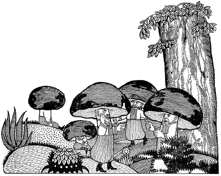 Війна грибів з жуками