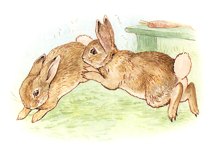 Казка про злого і жадібного кролика